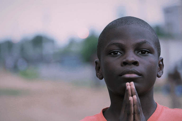 Is It Really an Oak Tree